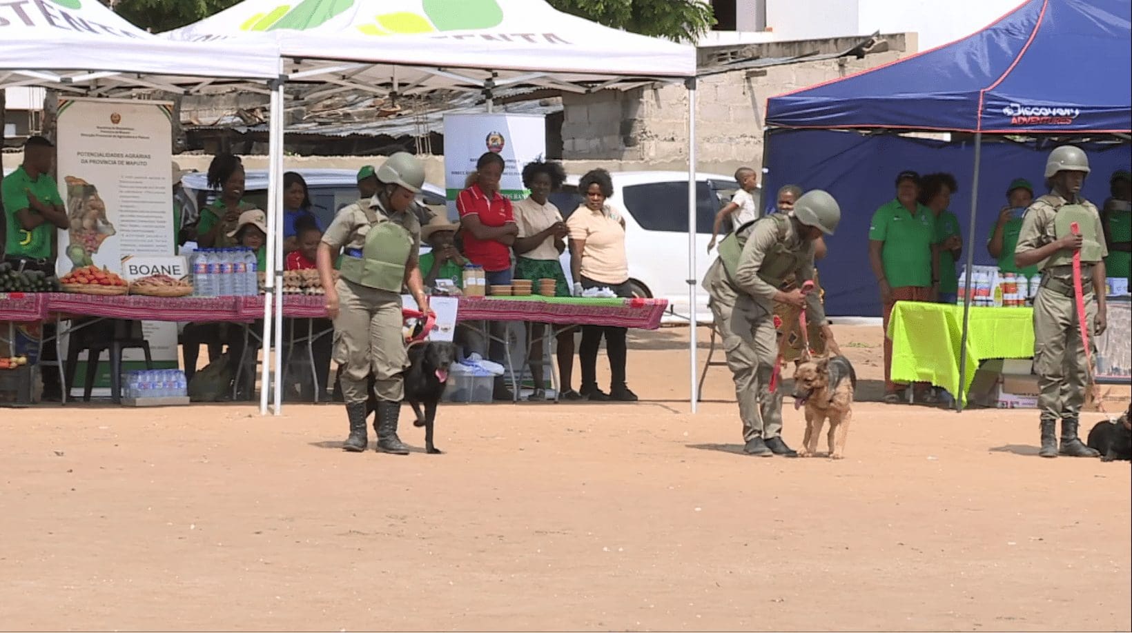 autoridades-da-provincia-de-maputo-preocupadas-com-fraca-adesao-a-vacinacao-contra-raiva Autoridades da província de Maputo preocupadas com fraca adesão à vacinação contra raiva