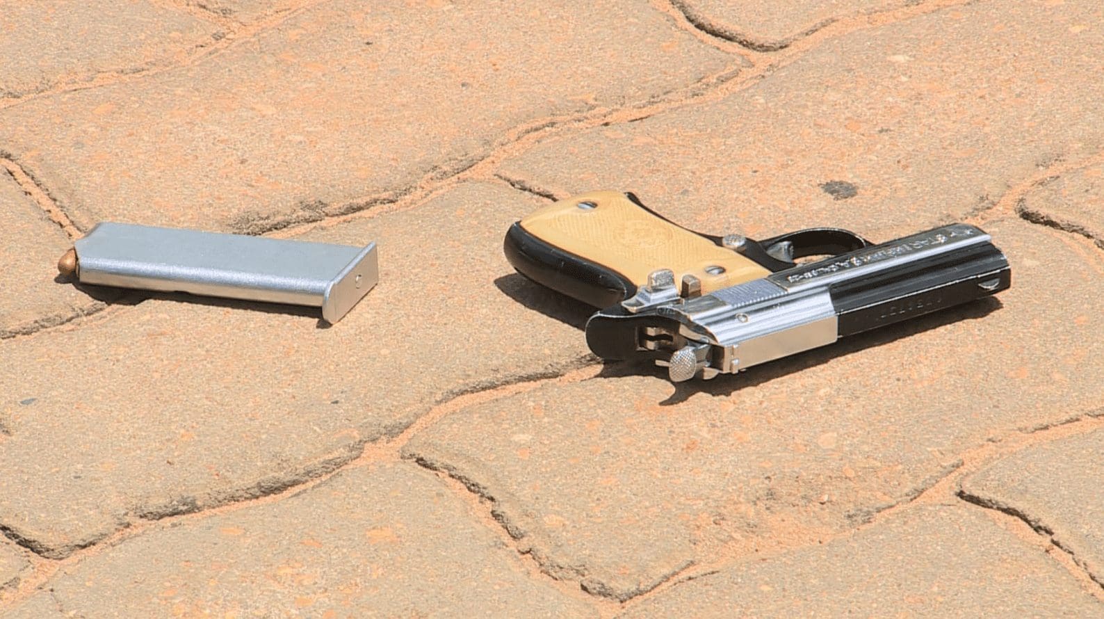 Detido suspeitos de assaltos em série á agentes económicos em Maputo