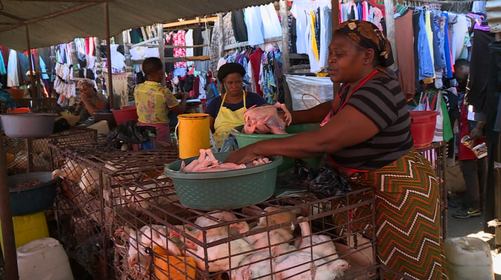 Há pouca procura de frangos no mercado após a quadra festiva em Maputo