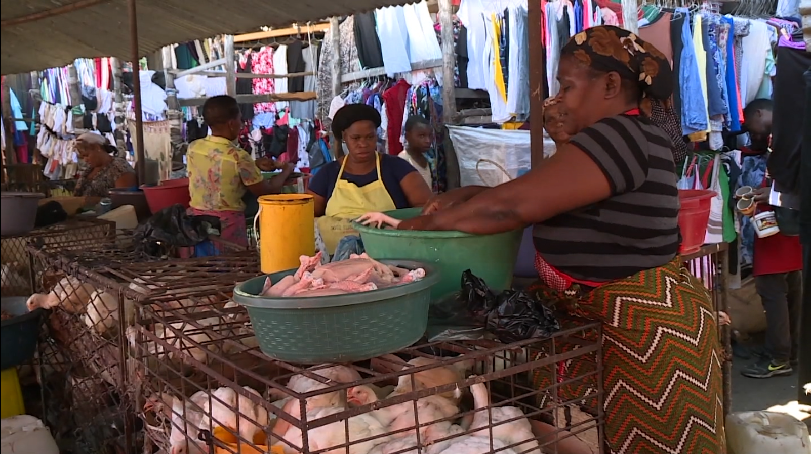 Vendedores de frangos em alerta face a onda de calor