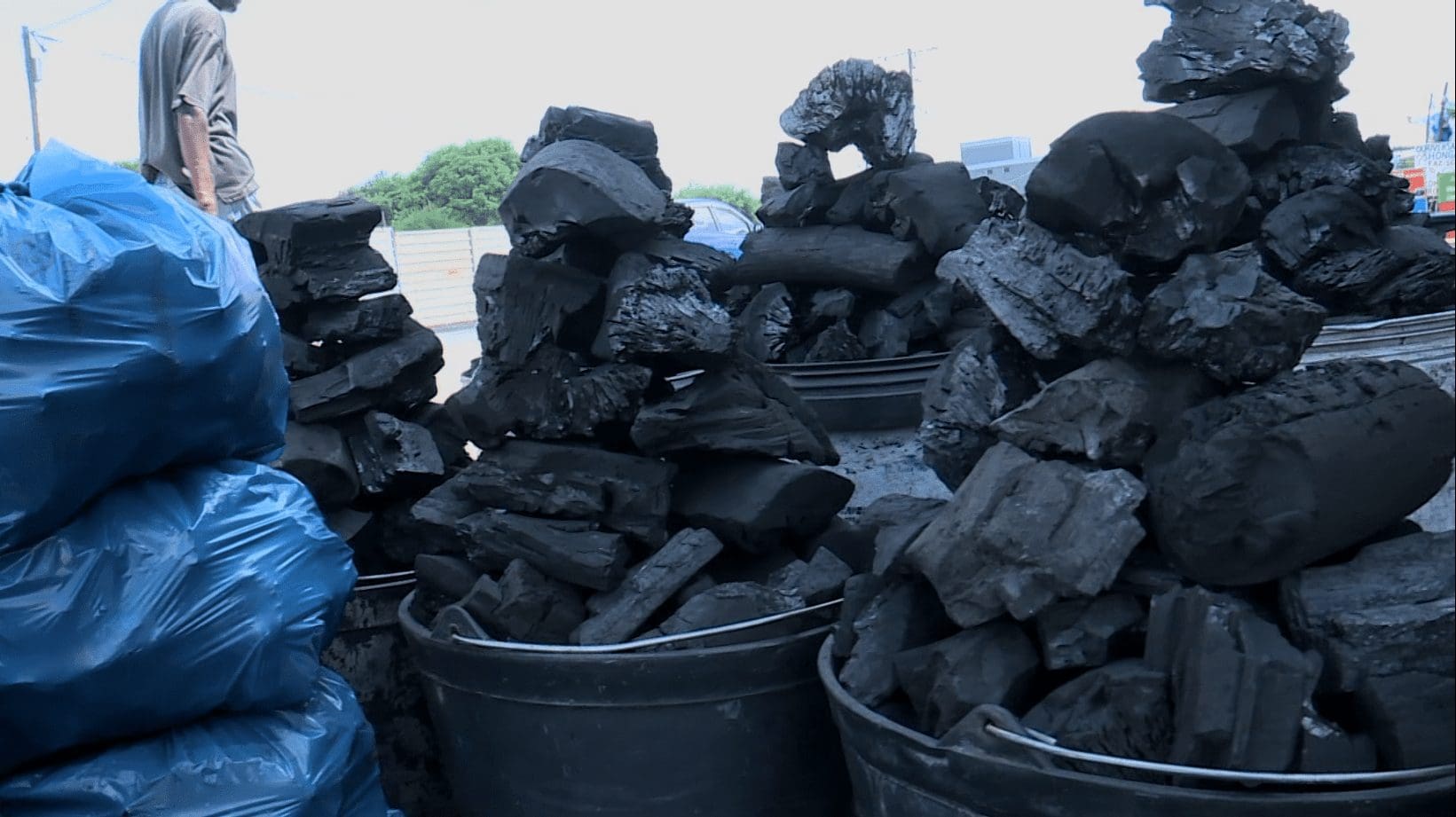 Dificuldades de escoamento ditam subida do preço do carvão vegetal