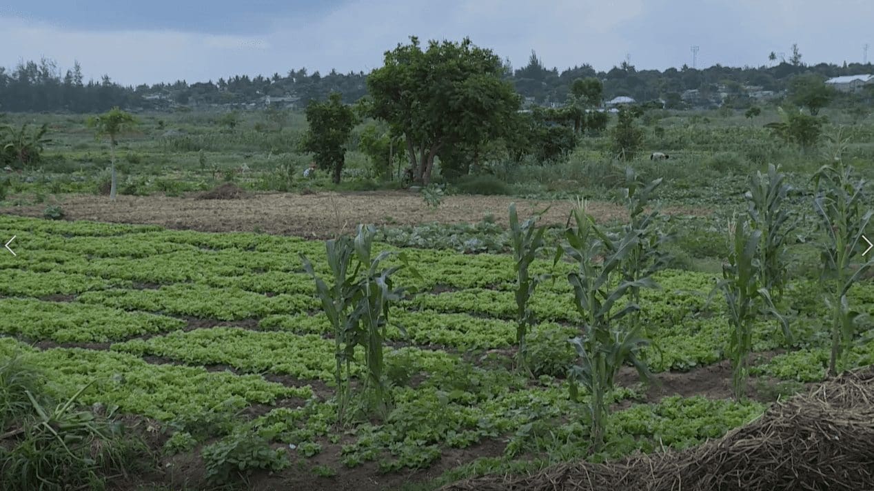 AT e parceiros discutem estratégias sustentáveis de cooperativismo
