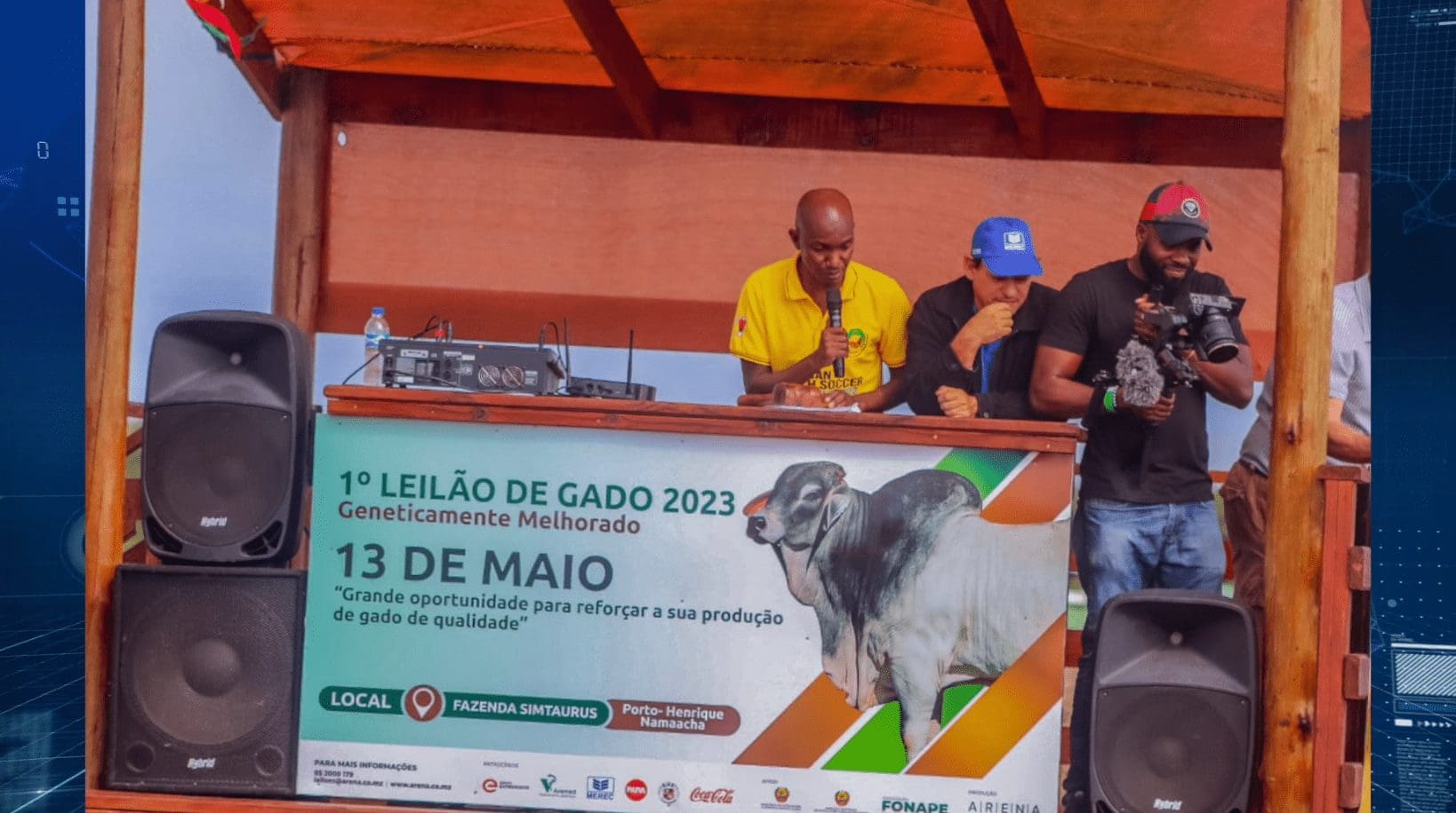 Produção de gado: Produtores, na província de Maputo, adquirirem espécies geneticamente melhorados