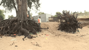 Erosão costeira ameaça zona dos pescadores na Costa do Sol