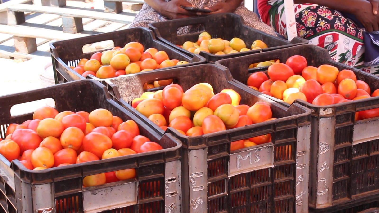 mercado-grossista-de-xai-xai-com-pouca-procura-de-produtos-alimentares-desde-dezembro Mercado grossista de Xai-Xai com pouca procura de produtos alimentares desde dezembro