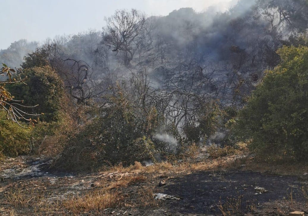 Sobe para cinco o número de incêndios registados na Província de Gaza Sobe para cinco o número de incêndios registados na Província de Gaza