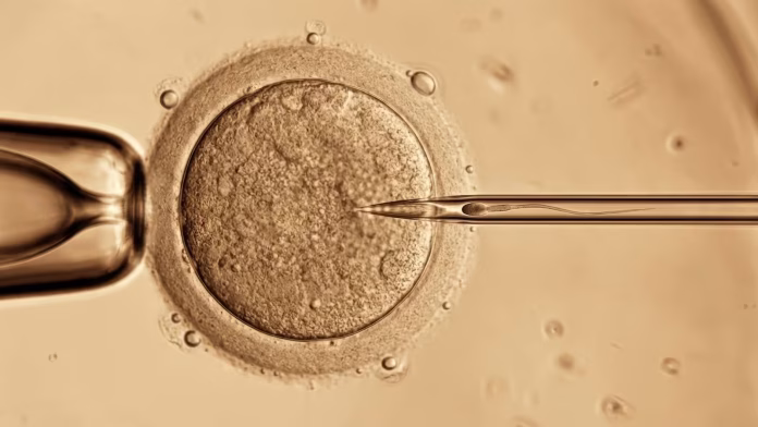 nr6afmbelfg2jadnxeyvqpmp5aavif