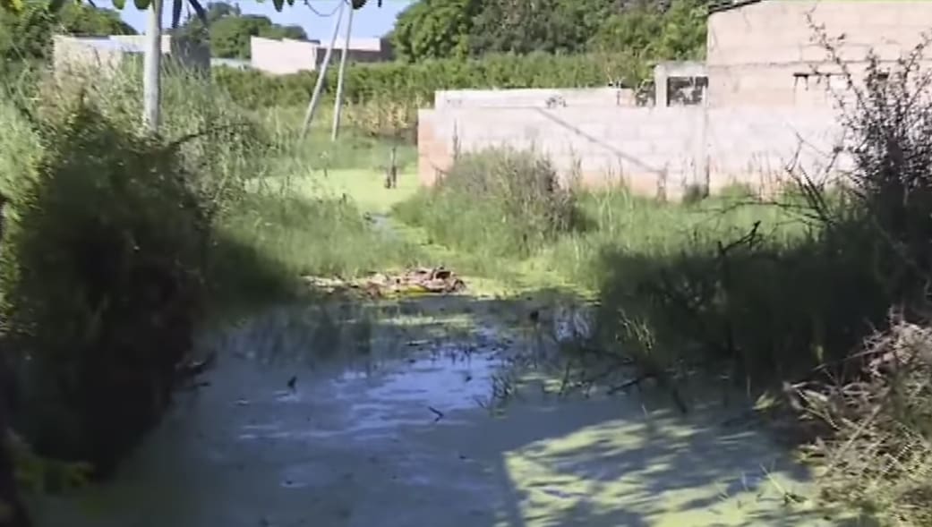 ÁGUAS ESTAGNADAS E VERDES CONDICIONAM VIDA NO BAIRRO SÃO DÂMASO ÁGUAS ESTAGNADAS E VERDES CONDICIONAM VIDA NO BAIRRO SÃO DÂMASO