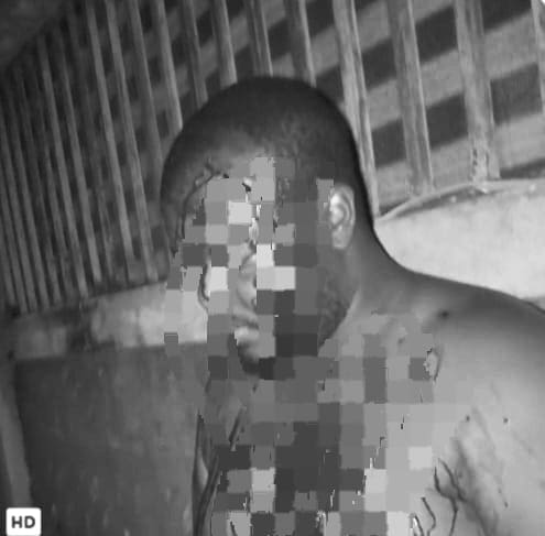 WhatsApp Image 2026-02-20 at 17.22.23